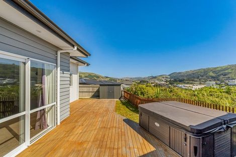 Photo of property in 124 John Burke Drive, Aotea, Porirua, 5024