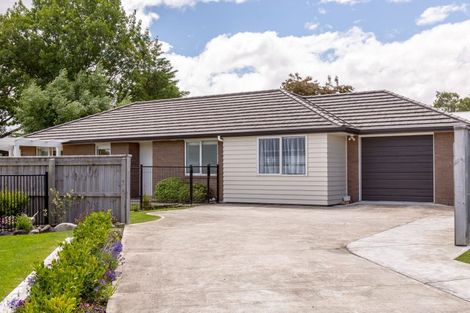 Photo of property in 25 Tarata Grove, Lansdowne, Masterton, 5810