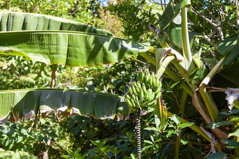 Photo of property in 896a Hikuai Settlement Road, Pauanui, Hikuai, 3579