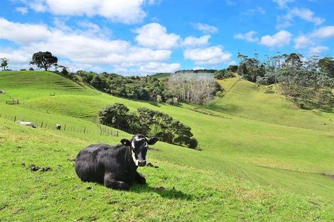 Photo of property in 1088 South Head Road, South Head, Helensville, 0874