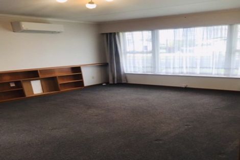 Photo of property in 149 Winchester Street, Levin, 5510