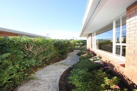 Photo of property in 103 Surrey Street, Forbury, Dunedin, 9012