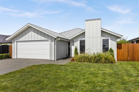 Photo of property in 62 Lochhead Street, Mahora, Hastings, 4120