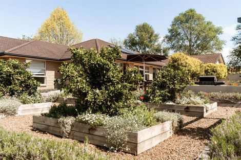 Photo of property in 14 Nga Parae Road, Oropi, Tauranga, 3173