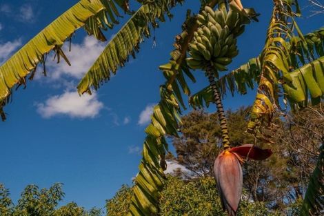 Photo of property in 49 Main Sh25 Road, Tairua, 3579