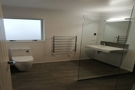 Photo of property in 28b Sussex Street, Levin, 5510