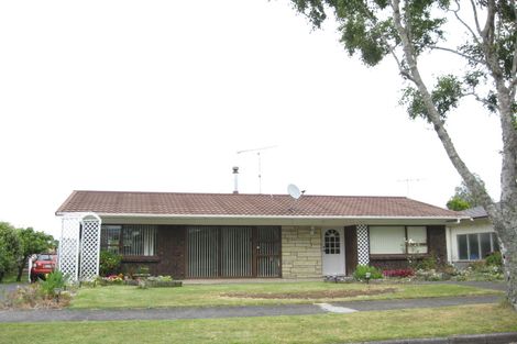 Photo of property in 11 Bledisloe Court, Pukekohe, 2120