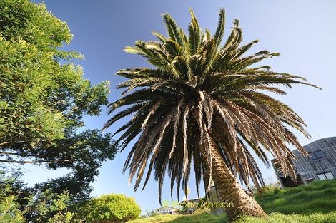 Photo of property in 32 Sandy Beach Road, Tinopai, 0593