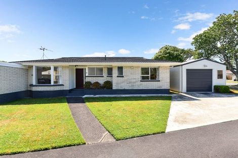 Photo of property in 63a Clarkin Road, Fairfield, Hamilton, 3214