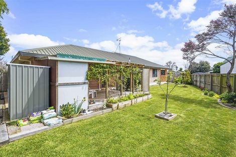 Photo of property in 17 Mews Place, Forest Lake, Hamilton, 3200