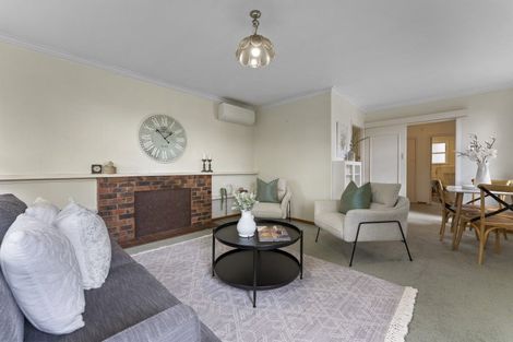 Photo of property in 252a Victoria Avenue, Hokowhitu, Palmerston North, 4410