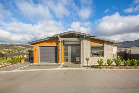 Photo of property in 155 John Burke Drive, Aotea, Porirua, 5024
