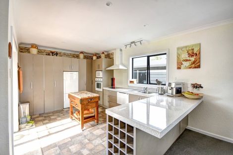 Photo of property in 4 Springfield Road, Milton, 9220