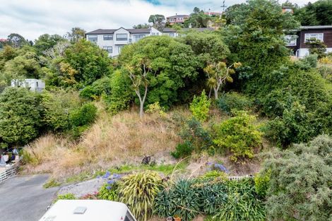 Photo of property in 108a Bedford Street, Saint Clair, Dunedin, 9012