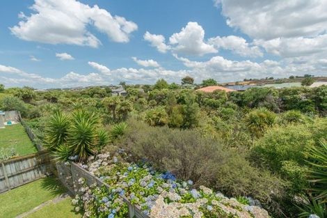 Photo of property in 17 Diomede Glade, Flagstaff, Hamilton, 3210