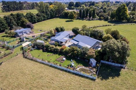 Photo of property in 111 Umutaoroa Road, Dannevirke, 4978