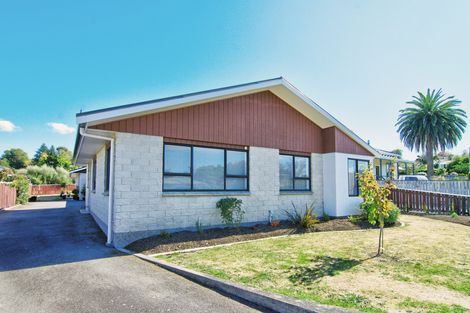 Photo of property in 61a Totara Street, Lansdowne, Masterton, 5810