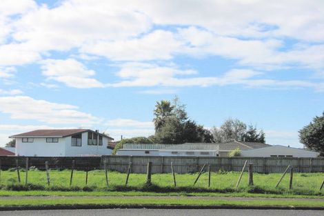 Photo of property in 9 Ngaio Street, Levin, 5510