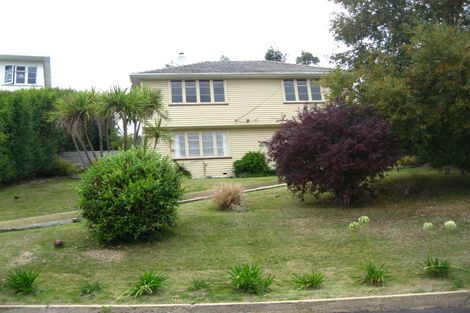 Photo of property in 7 Panmure Avenue, Calton Hill, Dunedin, 9012