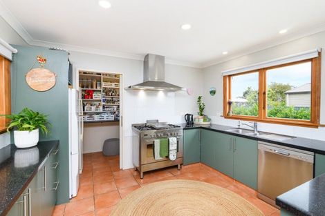 Photo of property in 44 Sherwill Street, Feilding, 4702