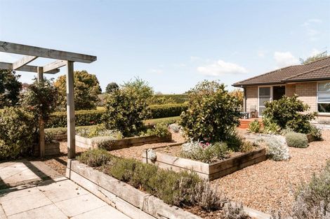 Photo of property in 14 Nga Parae Road, Oropi, Tauranga, 3173