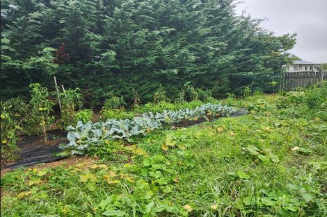 Photo of property in 62 Valentine Street, Papakura, 2110