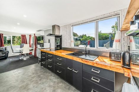 Photo of property in 20 Ocean View Place, Southbridge, Leeston, 7683