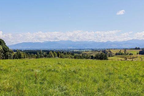 Photo of property in 14 Ranginui Drive, Kaiapoi, 7630