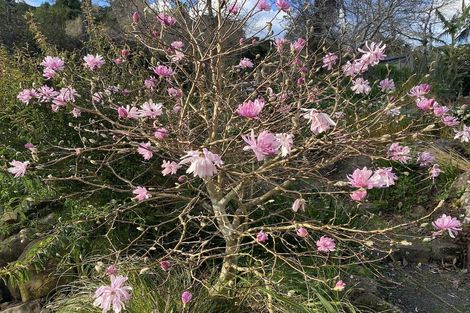 Photo of property in 1052 Wekaweka Road, Waimamaku, Kaikohe, 0473