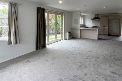 Photo of property in 11 Van Asch Street, Sumner, Christchurch, 8081