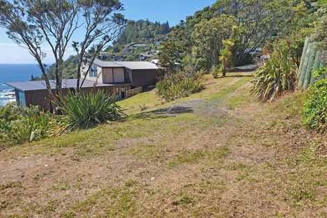 Photo of property in 66 Motuhoa Road, Tairua, 3508