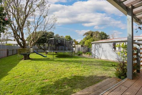 Photo of property in 38 Crewe Crescent, Hokowhitu, Palmerston North, 4410