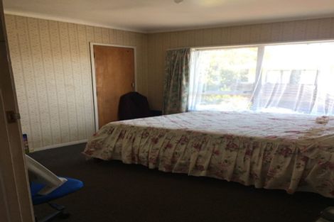 Photo of property in 34 Tudor Road, Henderson, Auckland, 0610