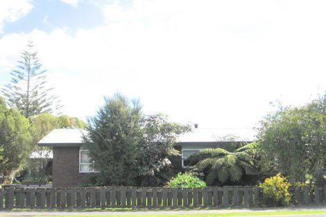 Photo of property in 119 Albert Street, Whitianga, 3510