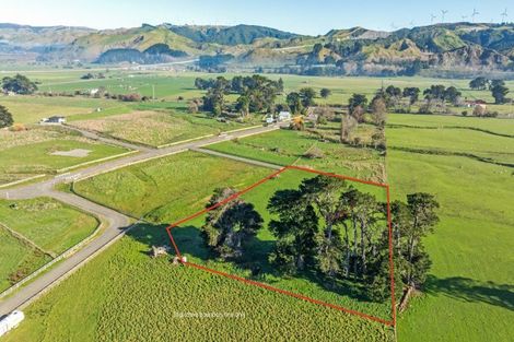 Photo of property in 27 Latha Grove, Woodville, 4999