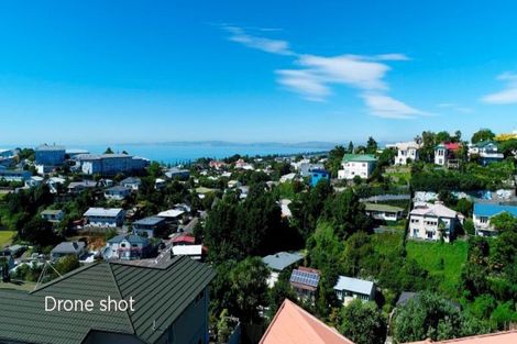 Photo of property in 9 Convent Road, Bluff Hill, Napier, 4110