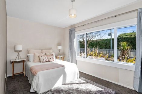 Photo of property in 54 Pocock Road, Springfield, 7681