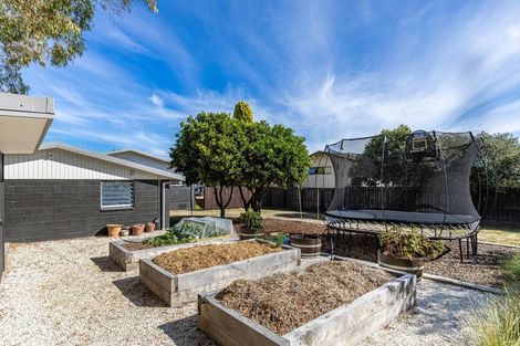 Photo of property in 183 Redwood Street, Witherlea, Blenheim, 7201