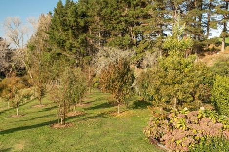 Photo of property in 25c Youngson Road, Whakamarama, Tauranga, 3180