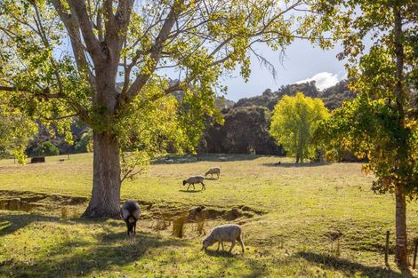 Photo of property in 205 Caveland Road, Te Whiti, Masterton, 5884