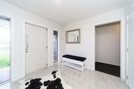 Photo of property in 61 Wapiti Avenue, Feilding, 4775