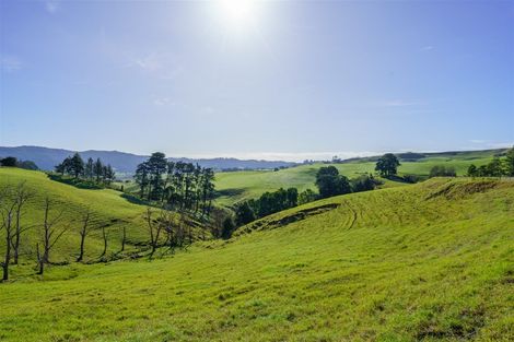 Photo of property in 1658 Ruapekapeka Road, Kawakawa, 0182