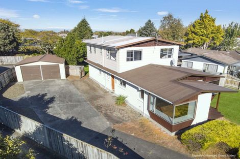 Photo of property in 6 Higgin Place, Feilding, 4702