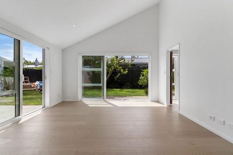 Photo of property in 22a Hazel Avenue, Mount Roskill, Auckland, 1041