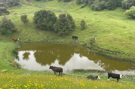 Photo of property in 4574 Matawai Road, Otoko, Te Karaka, 4092