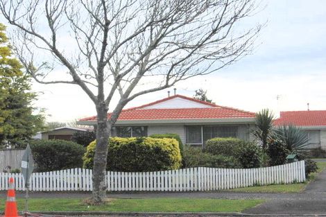 Photo of property in 229a Clarkin Road, Fairfield, Hamilton, 3214