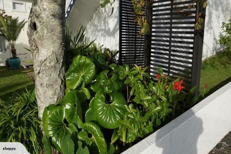 Photo of property in 223 Powderham Street, New Plymouth, 4310