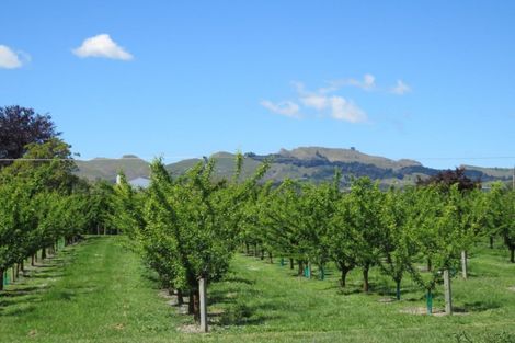 Photo of property in 1280 Howard Street, Parkvale, Hastings, 4122