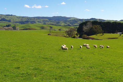 Photo of property in 777 Waitetuna Valley Road, Waitetuna, Raglan, 3295