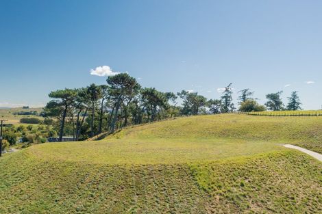 Photo of property in 55 Mason Drive, Waipukurau, 4285